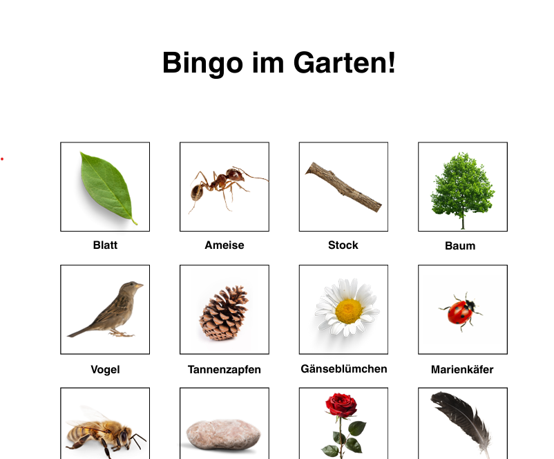Garten-Bingo